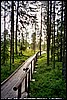 08_07_01.jpg