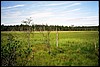 08_07_02b.jpg
