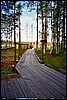 08_07_03.jpg