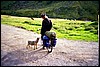 08_18_07.jpg