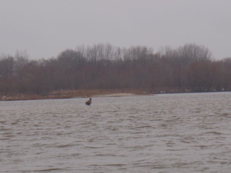 ol20100313_25bis.jpg