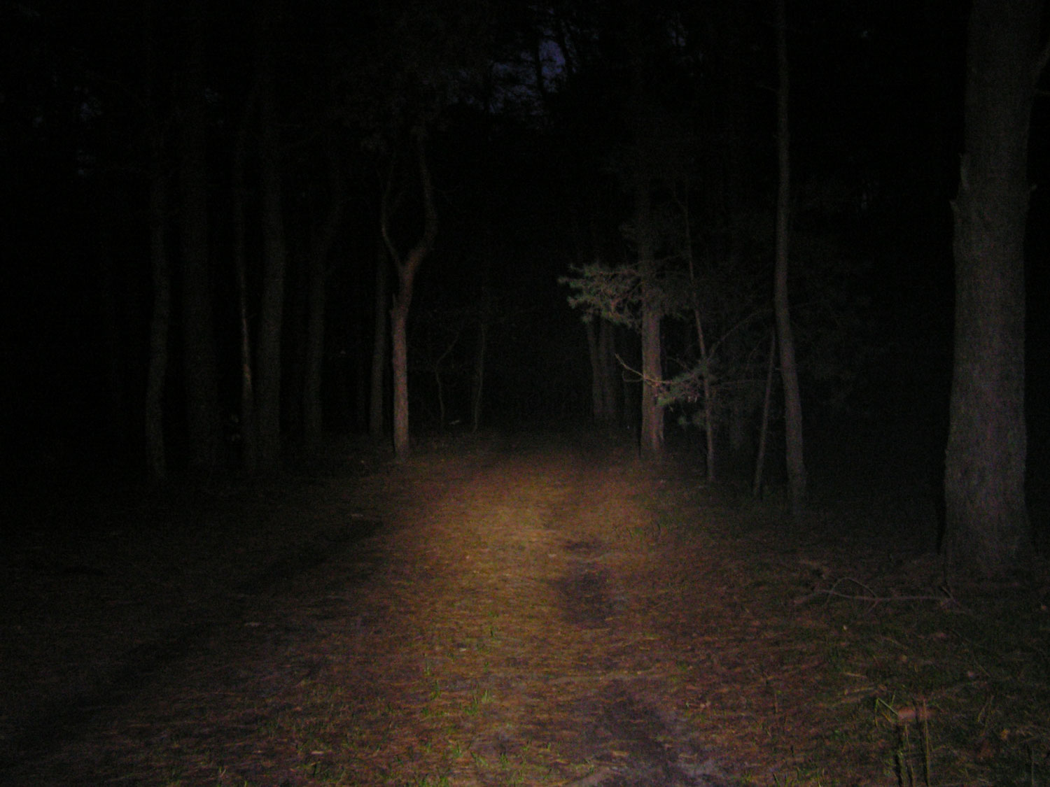 PICT0002.JPG