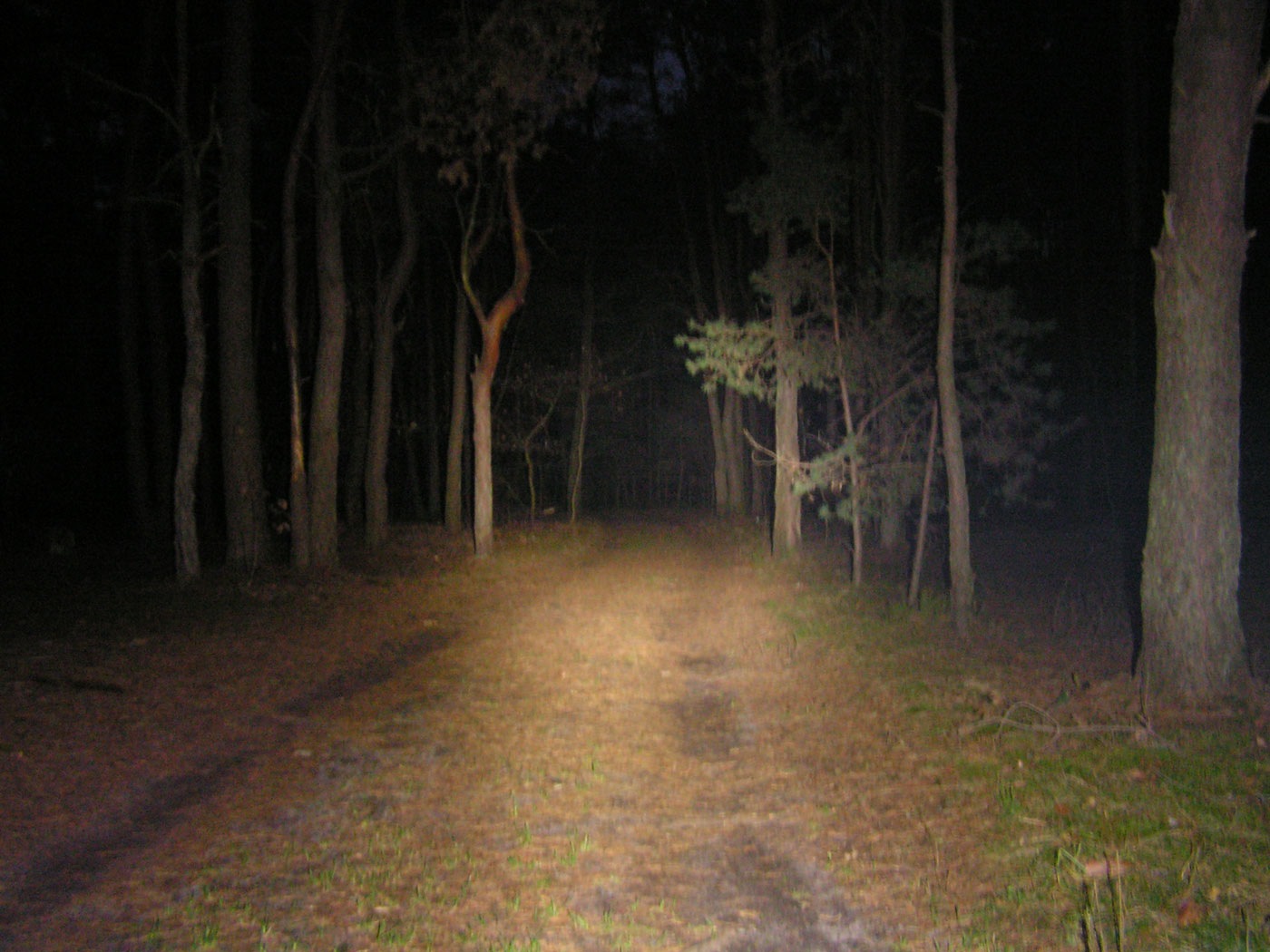 PICT0003.JPG