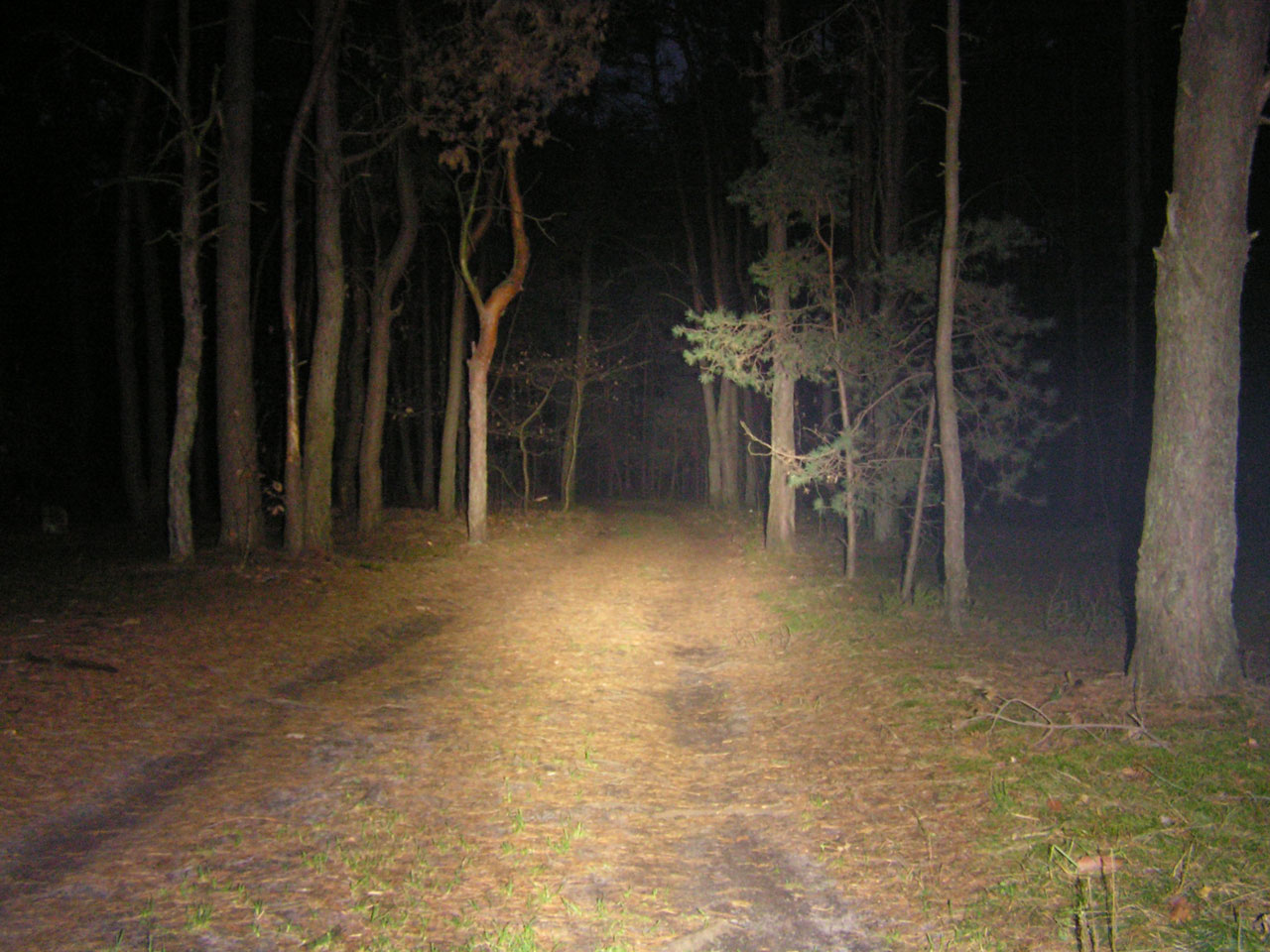 PICT0004.JPG