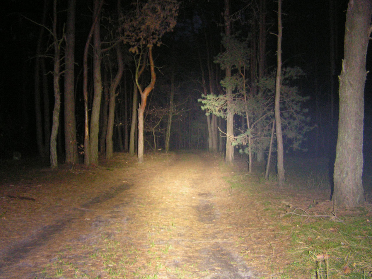 PICT0005.JPG