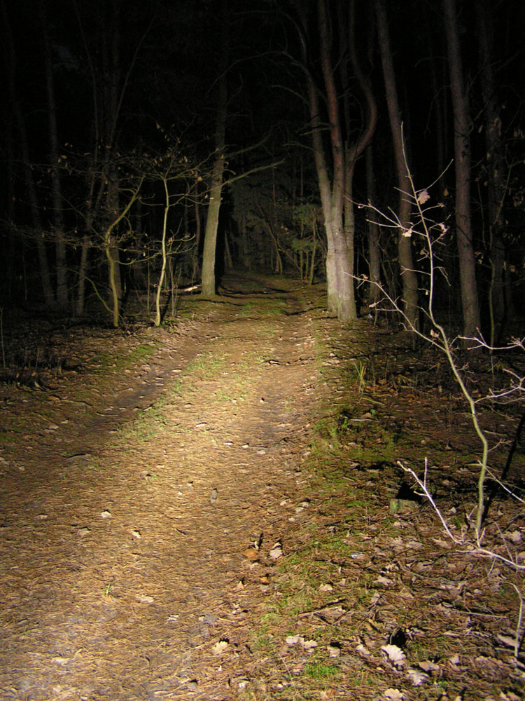 PICT0007.JPG