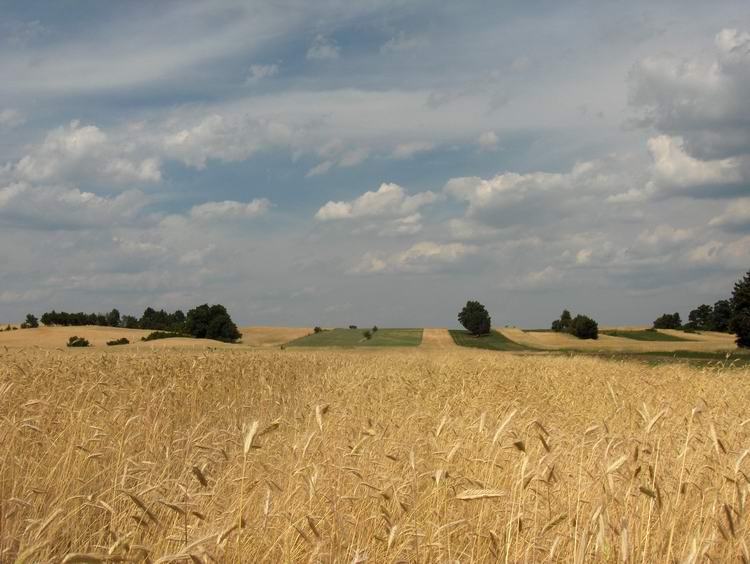 gdzieś nad Bugiem...