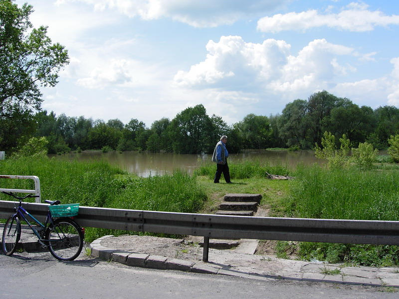 Smierdzioszka Jagodzianka