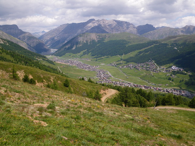 Livignio