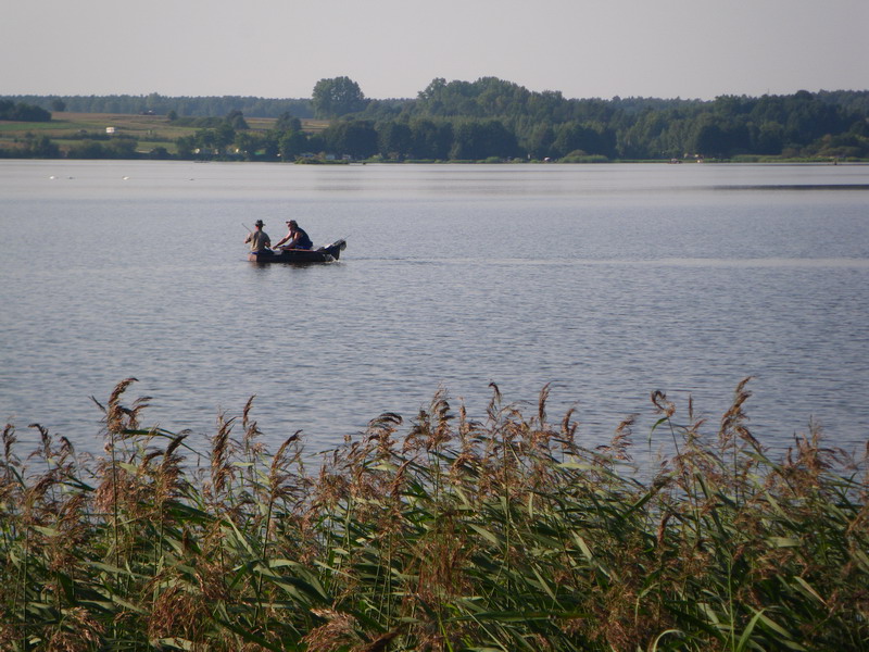 zalew Sulejowski.