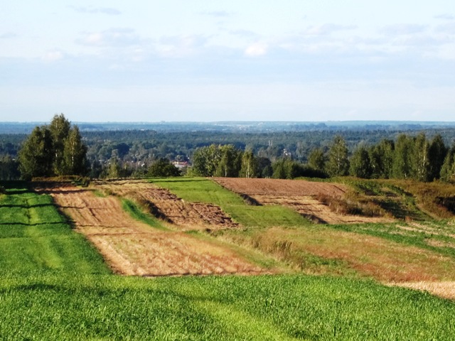 krajobraz, wiatr w twarz, zimny i ciężko się kręciło ale ale zapach róż, niesamowite, pasy całe między uprawami