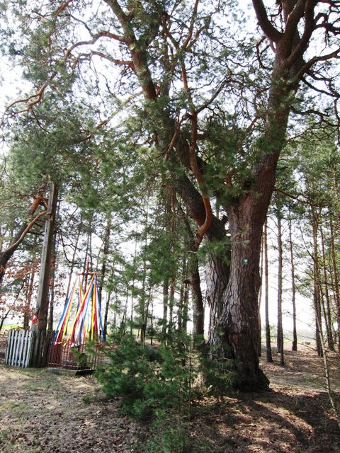 lokalizacja przy drodze z Grzebowilka do Kalonki