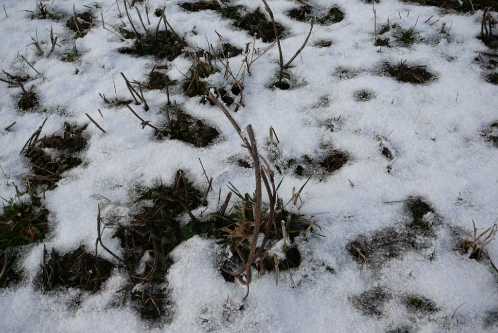 widok na śpiąca nature przy trasie