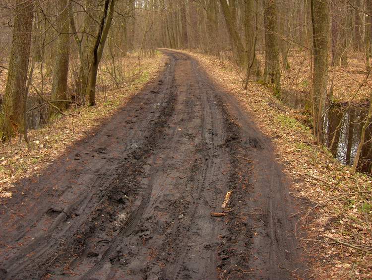 Sieraków na szlaku.jpg