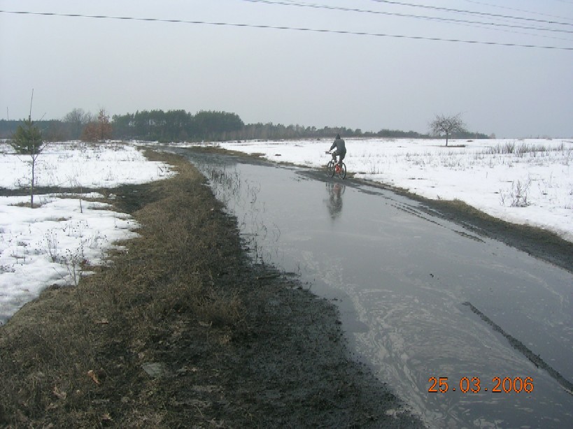 pływanie w stylu dowolnym-Dąbrówka