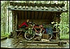 k09.jpg