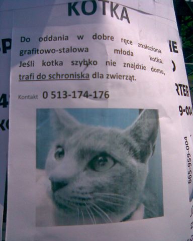 Zdjęcie000 [640x480].jpg