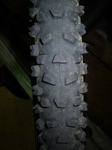 IMGP2181_resize.JPG