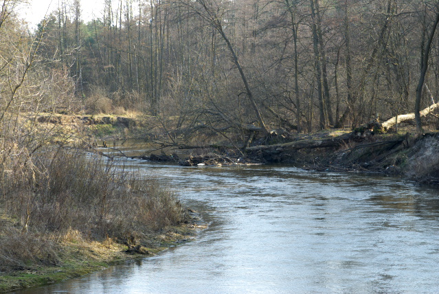 IMGP1569.jpg